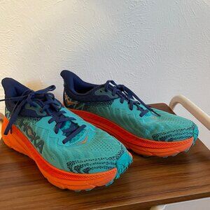 Hoka Running Shoes WOMEN'S  Clifton 9 GTX Size 41.5 Like New